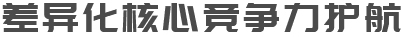 差異化核心競(jìng)爭(zhēng)力護(hù)航