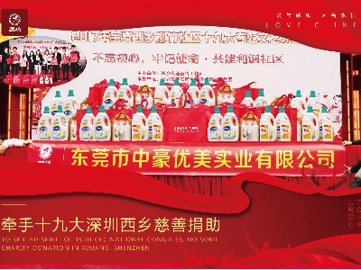 牽手深圳十九大慈善匯演