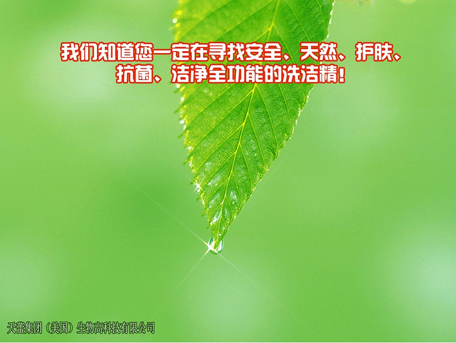天蕾洗潔精詳情_02