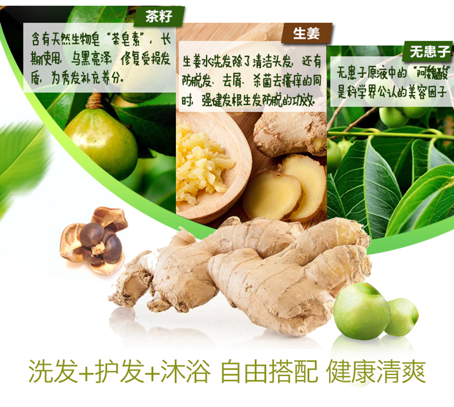 倍秀迪詩無患子無硅控油清爽護發(fā)素